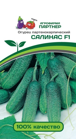 Семена Огурец Салинас F1 (Партнер)