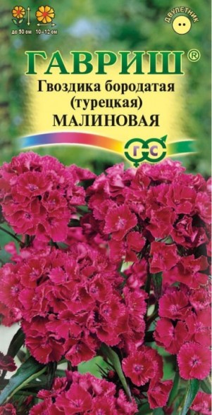 Семена Гвоздика турецкая Малиновая (Гавриш)