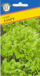 Салат Азарт зеленый полукочанный (Престиж)
