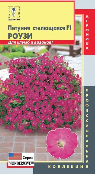 Семена Петуния стелющаяся F1 (серия WonderWave™) Роузи ПЛ