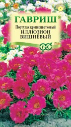 Портулак Иллюзион вишневый (Гавриш)