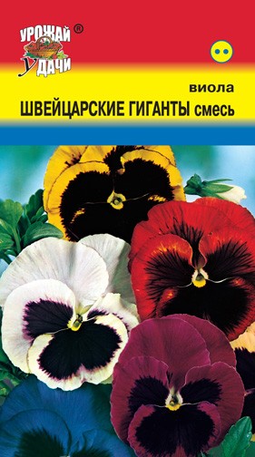 Семена Виола Швейцарские Гиганты Смесь УУД