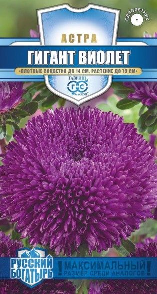 Семена Астра Гигант виолет &amp;quot;Русский богатырь&amp;quot; (Гавриш)