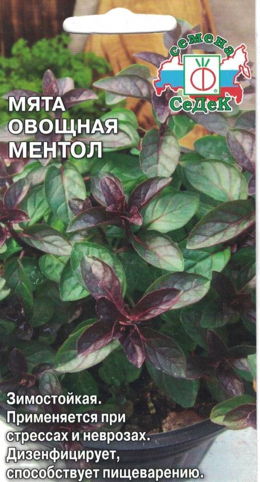 Мята Ментоловая