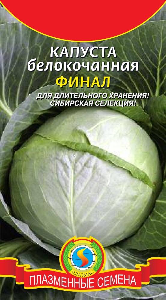 Капуста Семена Поздние Сорта Купить