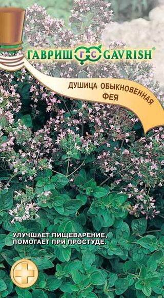 Семена Душица Обыкновенная Фея (Гавриш)