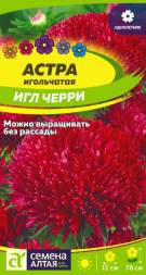 Астра игольчатая Черри Игл (Семена Алтая)