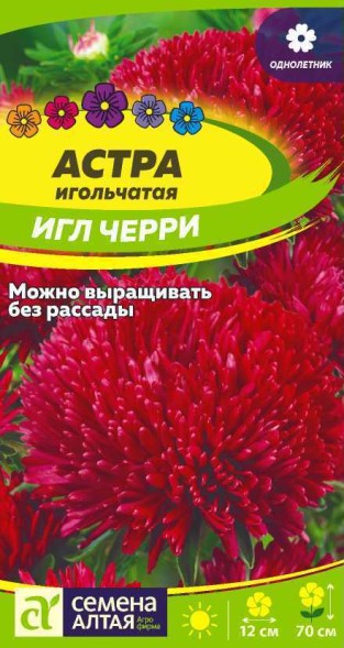 Семена Астра игольчатая Черри Игл (Семена Алтая)