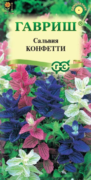 Семена Сальвия Конфетти (Гавриш)
