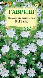 Немофила Барбара (Гавриш)