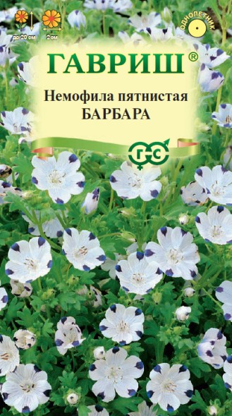 Семена Немофила Барбара (Гавриш)