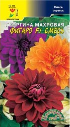 Георгина Фигаро F1 махровая смесь ЦС