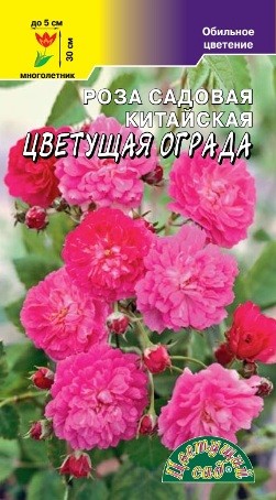 Семена Роза китайская Цветущая ограда ЦС