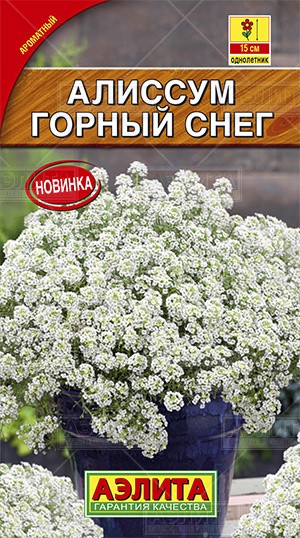 Семена Алиссум Горный снег (Аэлита)