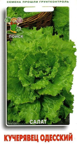 Семена Салат Кучерявец Одесский полукочанный (Поиск)