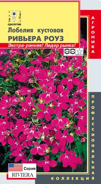 Семена Лобелия кустовая (серия Riviera) Ривьера Роуз ПЛ