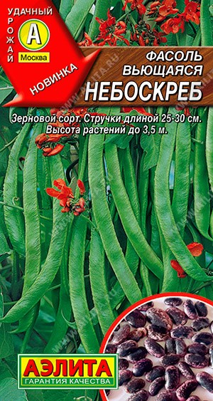 Семена Фасоль Небоскреб вьющаяся (Аэлита)