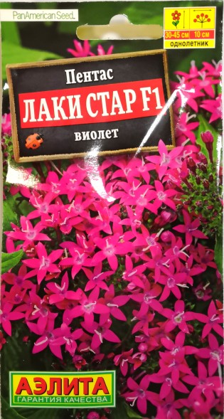 Семена Пентас Лаки стар F1 Виолет (Аэлита)