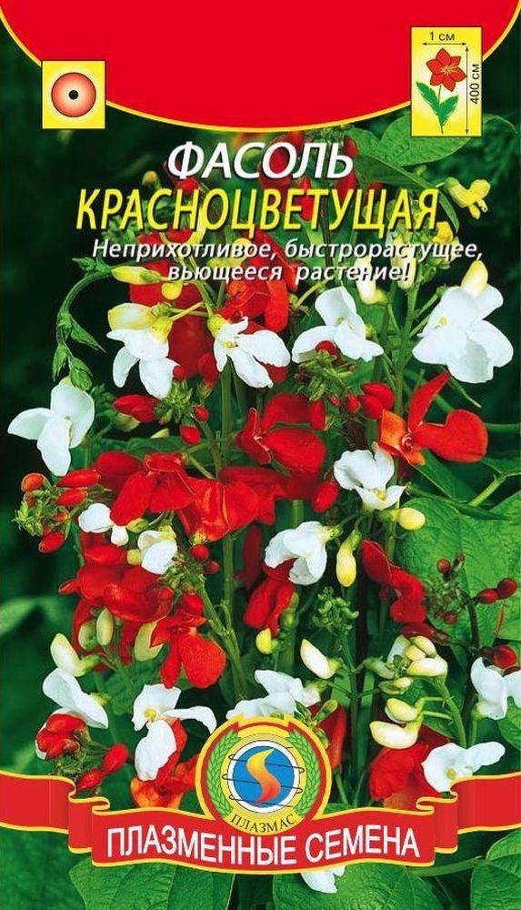 Купить декоративную фасоль. Семена фасоль огненно-красная вьющаяся. Фасоль декоративная вьющаяся семена. Семена фасоли декоративной. Фасоль декоративная красная.