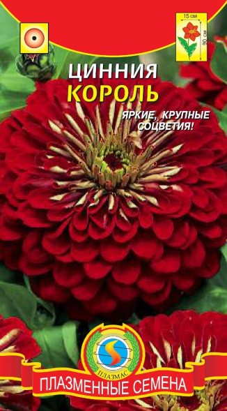 Семена Цинния Король ПЛ