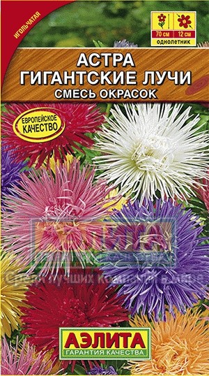 Семена Астра Гиганские лучи, смесь (Аэлита)