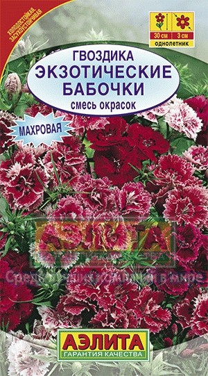 Семена Гвоздика турецкая Экзотические бабочки,смесь Аэлита