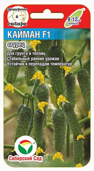 Семена Огурец Кайман F1 (Сиб Сад)