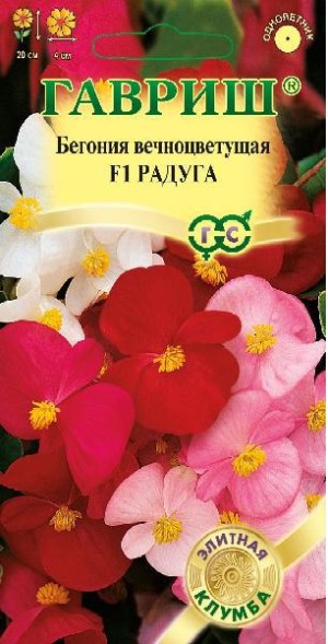 Семена Бегония Радуга F1 смесь (Гавриш)