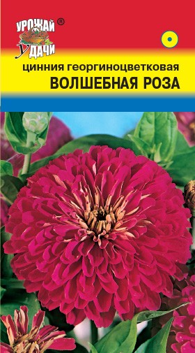 Семена Цинния Волшебная роза УУД
