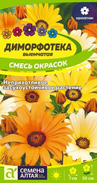Семена Диморфотека смесь окрасок (Семена Алтая)