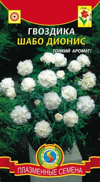 Семена Гвоздик шабо &amp;quot;Дионис&amp;quot; ПЛ