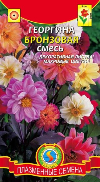 Семена Георгина Бронзовая смесь ПЛ