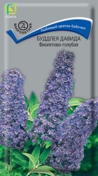 Буддлея Давида Фиолетово-голубая (Поиск)