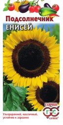 Подсолнечник Енисей (Гавриш)