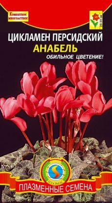 Семена Цикламен персидский Анабель ПЛ