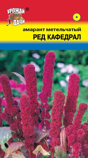 Семена Амарант метельчатый Ред Кафедрал УУД