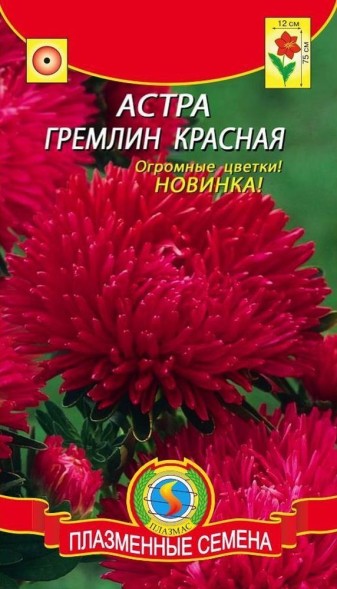 Семена Астра Гремлин красная ПЛ