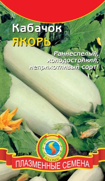 Семена Кабачок Якорь ПЛ