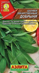 Шалфей Добрыня лекарственный (Аэлита)