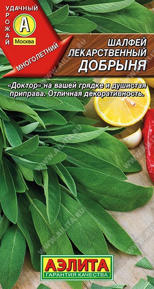 Семена Шалфей Добрыня лекарственный (Аэлита)