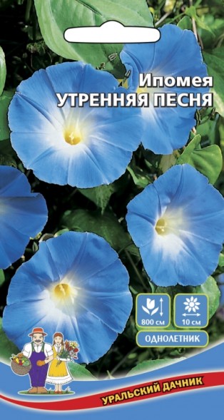 Семена Цветы Ипомея Утренняя Песня УД
