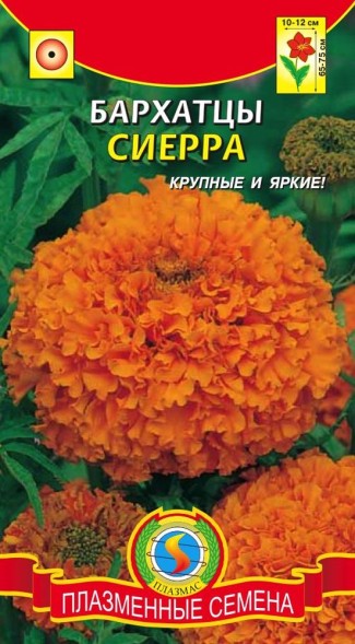Семена Бархатцы Сиерра ПЛ