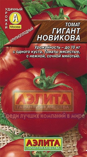 Томат Исполин Отзывы Фото Урожайность Характеристика