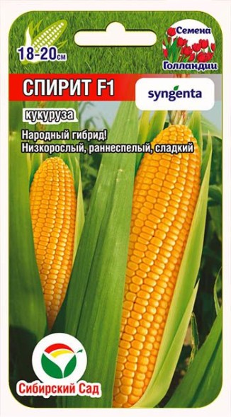 Семена Кукуруза Спирит F1 (Сиб Сад)