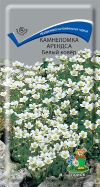 Семена Камнеломка Аренса Ковер (Белый ковер) (Поиск)