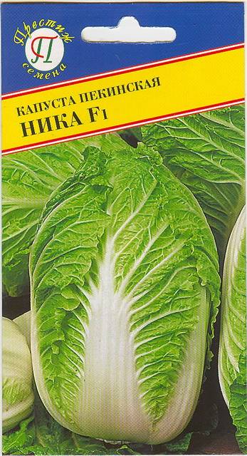 Пекинская Капуста Чача Купить Семена