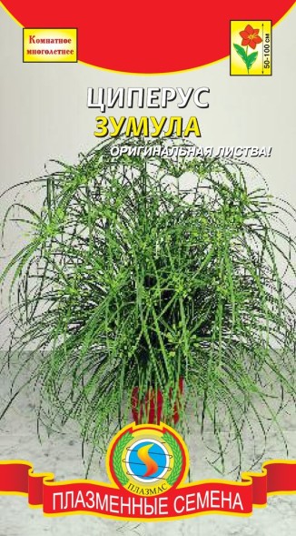 Семена Циперус Зумула ПЛ