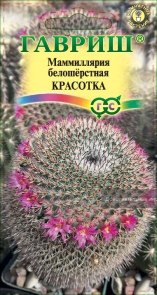 Семена Маммиллярия Красотка (Гавриш)