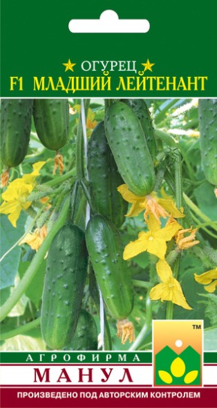 Семена Огурец Младший лейтенант F1 (Манул)