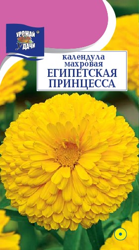 Семена Календула махровая Египетская принцесса УУД